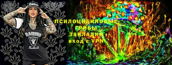 индика Богданович